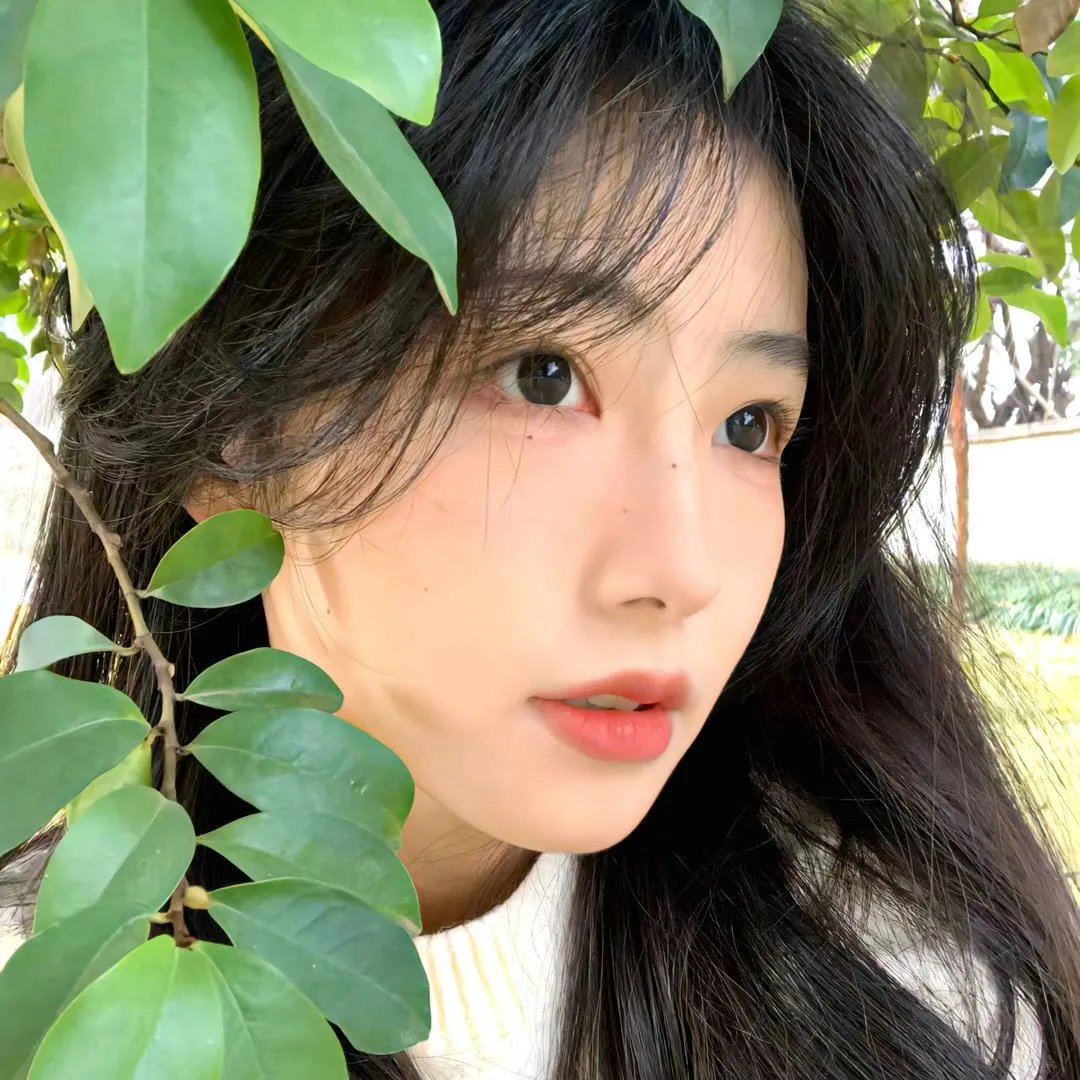 白鸟：奇迹
